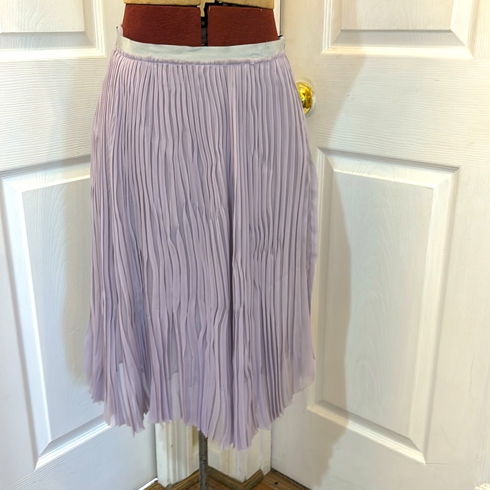 Aviu Pleated Skirt
